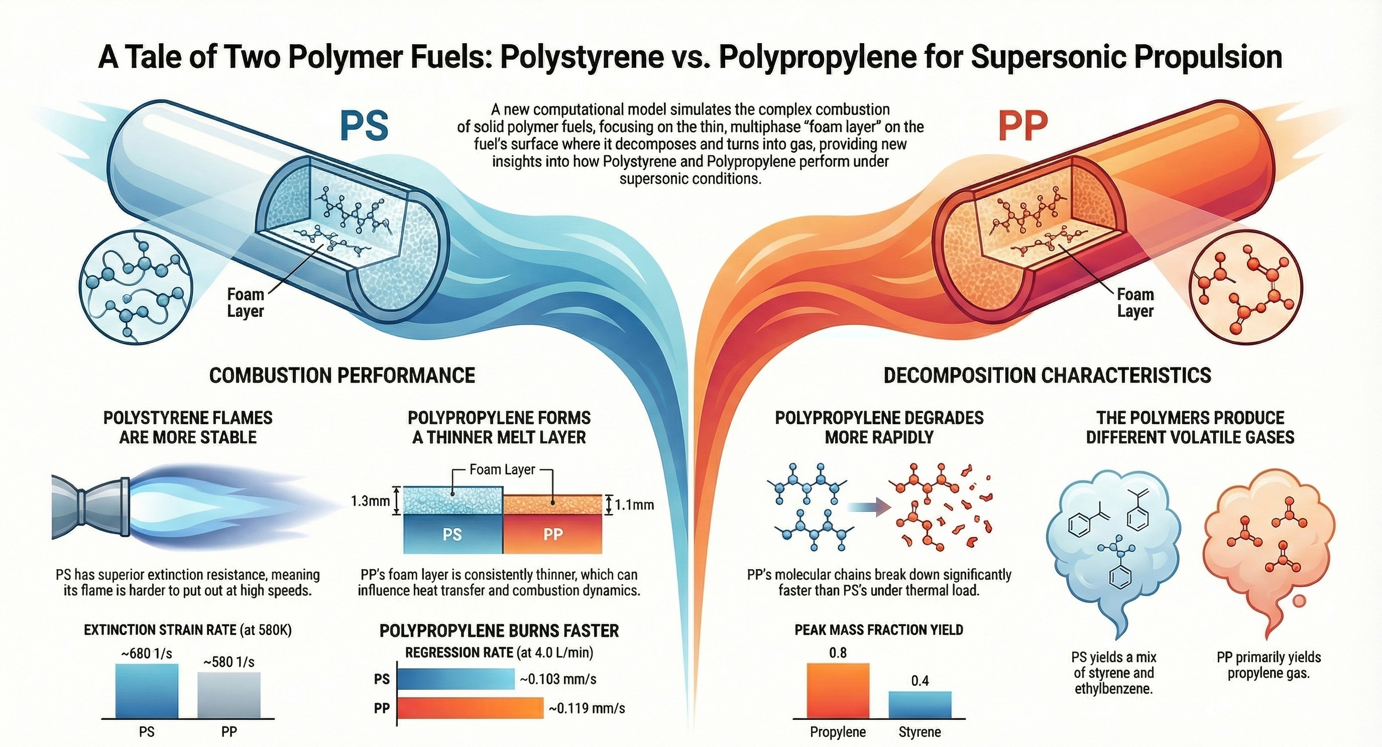 Polystyrene vs Polypropylene Infographic